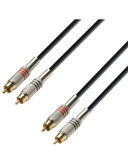 Câble double RCA