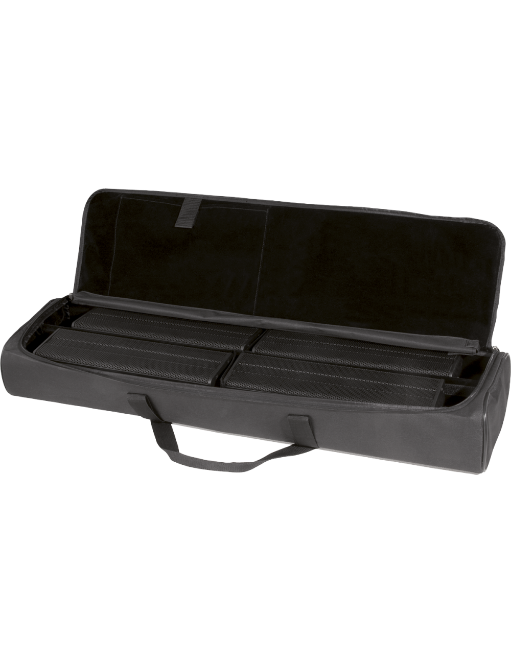 Elements carrying case