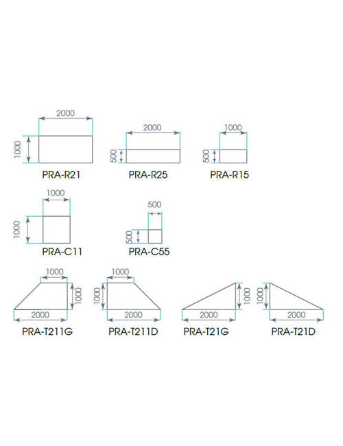 PRA-R21